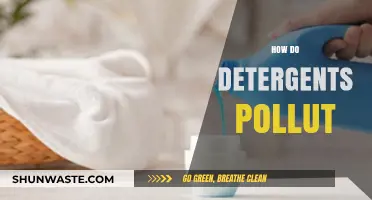 Detergents: Hidden Pollutants in Our Daily Lives