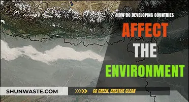 Developing Nations' Environmental Impact: Challenges and Sustainable Solutions