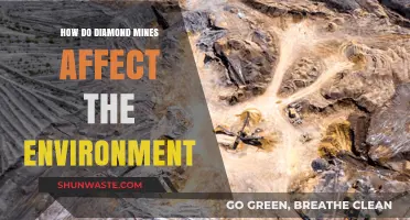 Environmental Impact of Diamond Mining: Destruction, Pollution, and Ecosystem Disruption