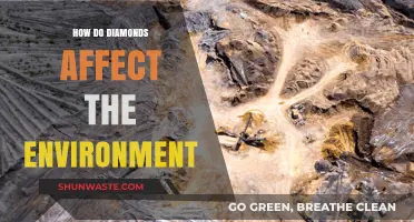 Environmental Impact of Diamonds: Mining, Ecosystems, and Sustainability Explored