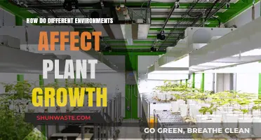 Exploring How Diverse Environments Shape Plant Growth and Development