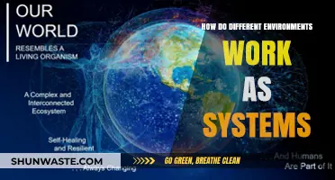 Exploring Ecosystems: How Diverse Environments Function as Interconnected Systems