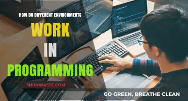 Exploring Programming Environments: How Different Tools Shape Development Workflows