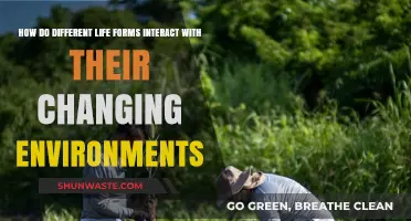 Adapting Worlds: Life Forms and Their Dynamic Environmental Interactions