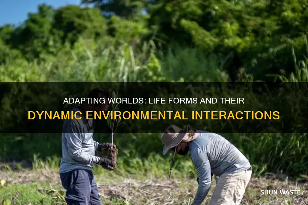 how do different life forms interact with their changing environments