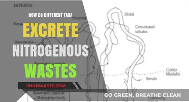 Nitrogen Waste Excretion: Diverse Strategies Across Biological Taxa