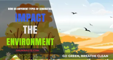 Generational Footprints: How Different Ages Shape Environmental Impact