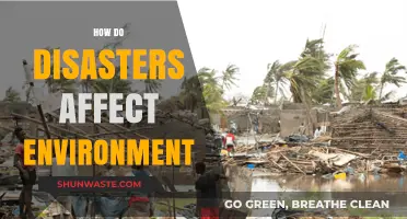 Environmental Impact of Disasters: Understanding Long-Term Ecological Consequences