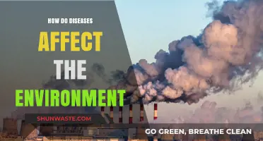 Diseases' Environmental Impact: Unseen Consequences on Ecosystems and Biodiversity