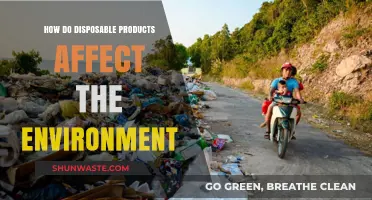 Disposable Products' Environmental Impact: Uncovering the Hidden Ecological Costs