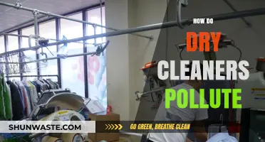 Dry Cleaning's Dirty Secret: Pollution and Health Hazards