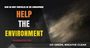 Dust's Surprising Role: How Atmospheric Particles Benefit Our Environment