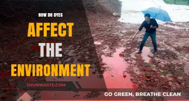 Environmental Impact of Dyes: Pollution, Ecosystems, and Sustainable Solutions