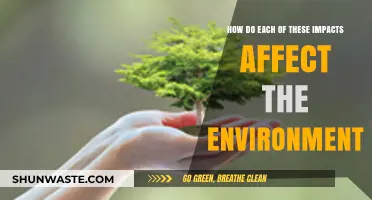 Environmental Impacts Unveiled: Exploring Human Actions' Effects on Our Planet