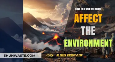 Volcanic Eruptions: Environmental Impacts and Ecosystem Transformations Explained