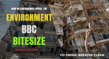 Earthquakes' Environmental Impact: BBC Bitesize Explains the Effects