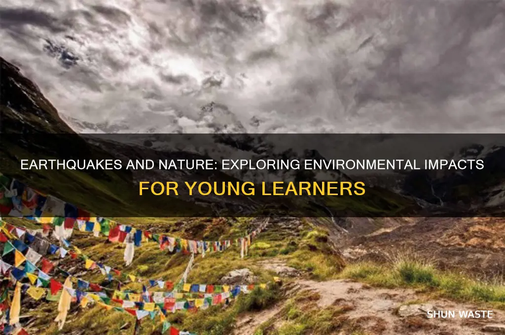 how do earthquakes affect the environment for kids