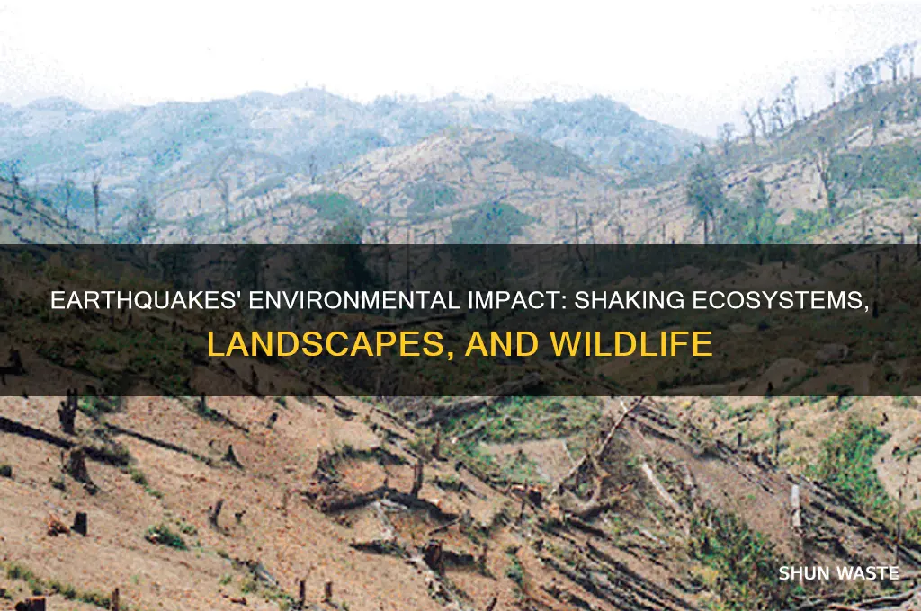 how do earthquakes affect the environment