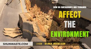 Earthquakes and Tsunamis: Environmental Impacts and Long-Term Effects
