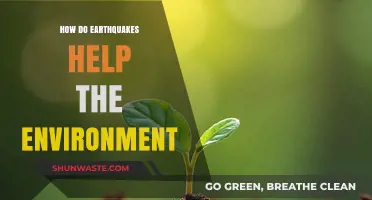 Earthquakes' Surprising Role in Shaping and Revitalizing Ecosystems