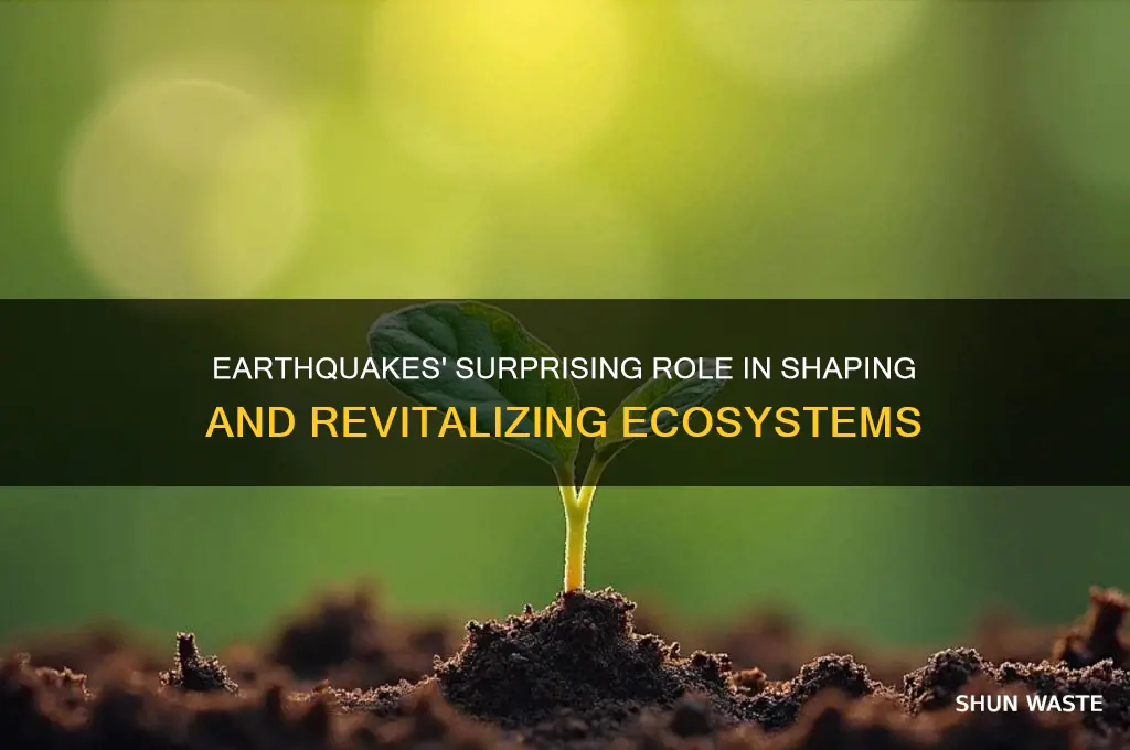 how do earthquakes help the environment