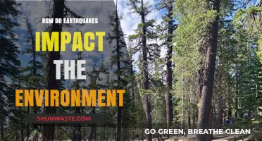 Earthquakes' Environmental Impact: Shaking Ecosystems and Reshaping Landscapes