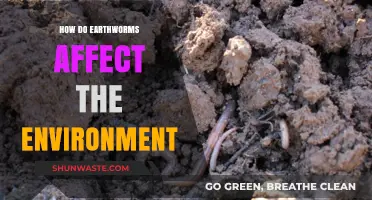 Earthworms' Environmental Impact: Soil Health, Ecosystems, and Biodiversity Boost