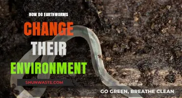 Earthworms: Unseen Architects Transforming Soil and Ecosystems Dramatically