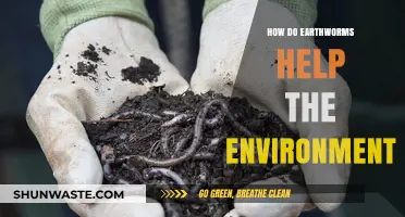 Earthworms: Unsung Heroes of Soil Health and Ecosystem Balance