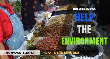 Eating Bugs: A Sustainable Solution for Environmental Conservation