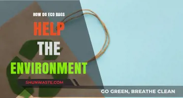 Eco Bags: Sustainable Solutions for Reducing Environmental Impact and Waste