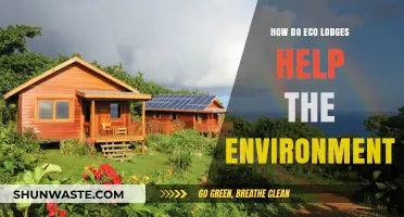 Eco Lodges: Sustainable Tourism's Role in Environmental Conservation and Protection