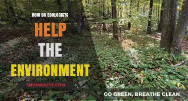 Ecologists' Vital Role: Protecting Ecosystems and Preserving Our Planet's Health