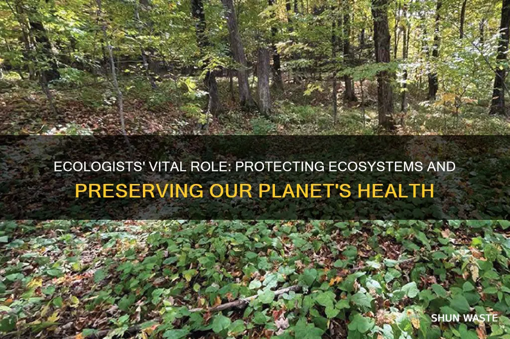 Ecologists' Vital Role: Protecting Ecosystems And Preserving Our Planet ...