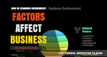 Economic Environment Factors: Shaping Business Strategies and Outcomes