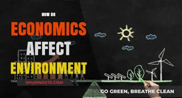 Economic Policies and Their Impact on Environmental Sustainability