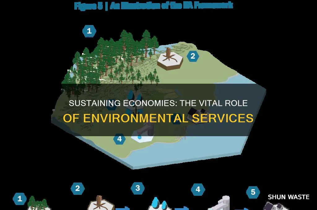 how do economies rely on good services from he environment