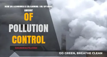 Economists' Balancing Act: Pollution Control Optimization