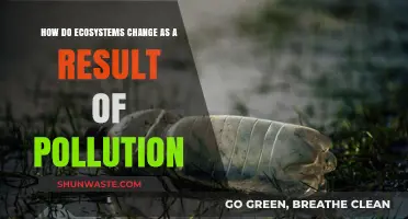 Pollution's Impact: Transforming Nature's Balance