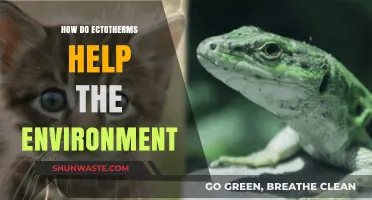 Ectotherms' Vital Role: Boosting Ecosystems and Environmental Balance Naturally