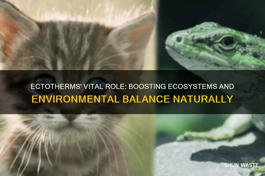 how do ectotherms help the environment