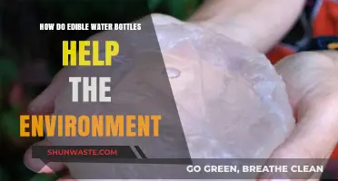 Edible Water Bottles: A Sustainable Solution to Reduce Plastic Waste