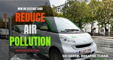 Electric Cars: Reducing Air Pollution, Improving Our Future