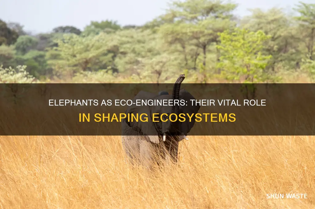 how do elephants help the environment