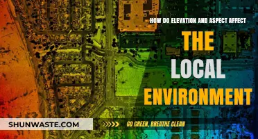 Elevation and Aspect: Shaping Local Ecosystems and Climate Patterns