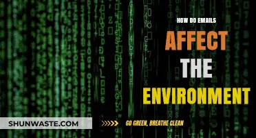 The Hidden Environmental Impact of Sending Emails Daily