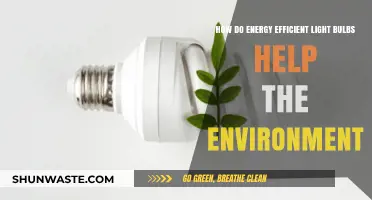 Eco-Friendly Lighting: How Energy-Efficient Bulbs Benefit Our Planet