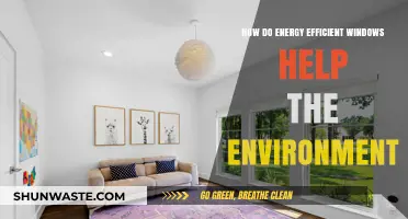 Energy Efficient Windows: Reducing Carbon Footprint and Saving the Environment