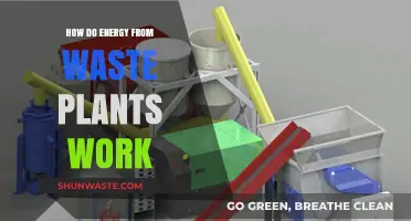 How Energy-from-Waste Plants Convert Trash to Power: A Guide