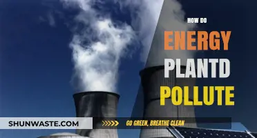Energy Plants: The Pollution Paradox